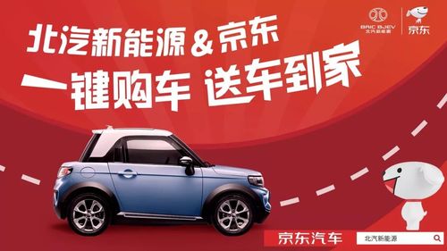 北汽新能源攜手京東,共創(chuàng)電商銷(xiāo)售新模式_搜狐汽車(chē)_搜狐網(wǎng)